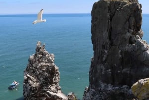 Dublin: Dublin Bay, Howth Coast og bådtur til Irlands øje