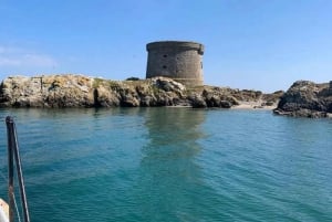 Dublin: Baía de Dublin, Costa de Howth e Passeio de Barco 'Ireland's Eye