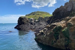 Dublín: Tour en barco por la Bahía de Dublín, la Costa de Howth y el Ojo de Irlanda