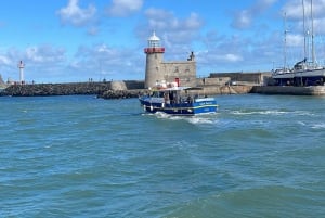 Dublin, Irland Dublin Bay, Howth Coast och Ireland's Eye båttur