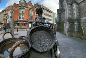 Dublin: Dublin City Highlights Private Guided Walking Tour