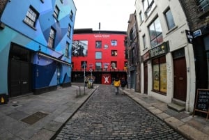 Dublino: Tour guidato privato a piedi dei punti salienti della città di Dublino