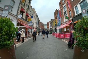 Dublin: Dublin City Highlights Privat guidad vandringstur