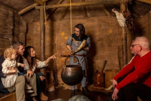 Дублин: входной билет в музей викингов и средневековья