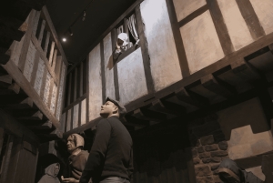 Дублин: входной билет в музей викингов и средневековья