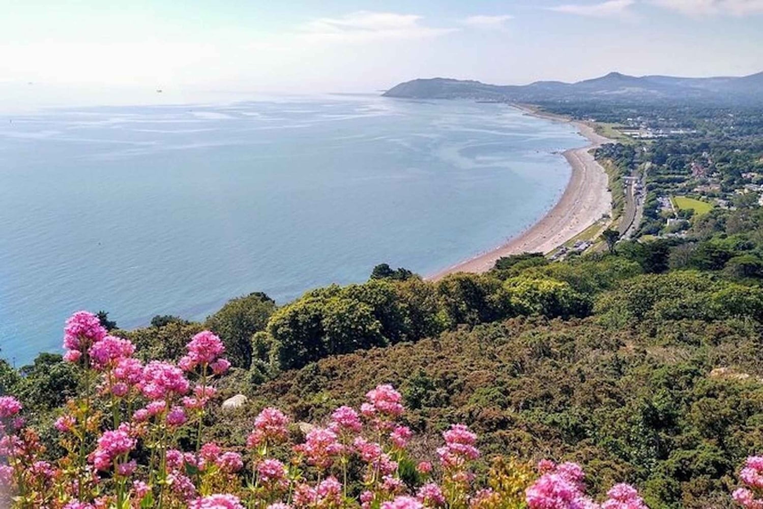 Dublino: tour a piedi della costa di Dun Laoghaire con una guida locale