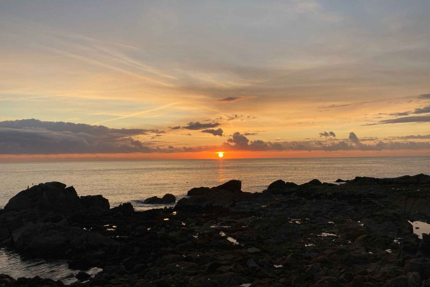 Dublino: tour a piedi della costa di Dun Laoghaire con una guida locale