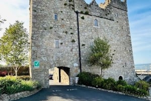 Dublino: tour a piedi della costa di Dun Laoghaire con una guida locale
