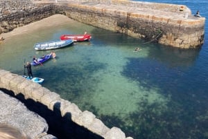 Dublino: tour a piedi della costa di Dun Laoghaire con una guida locale