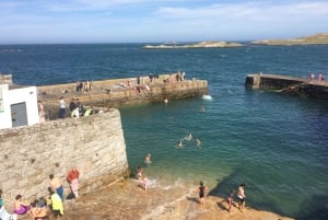Dublino: tour a piedi della costa di Dun Laoghaire con una guida locale