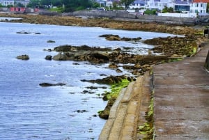 Dublino: tour a piedi della costa di Dun Laoghaire con una guida locale
