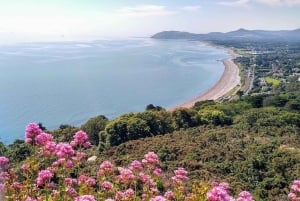 Dublino: tour a piedi della costa di Dun Laoghaire con una guida locale