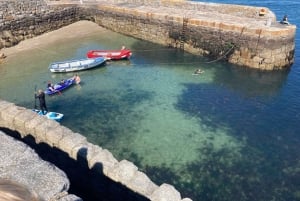 Dublino: tour a piedi della costa di Dun Laoghaire con una guida locale