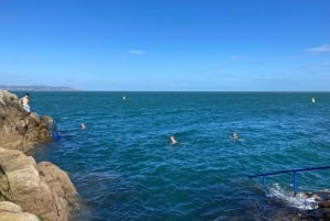 Dublino: tour a piedi della costa di Dun Laoghaire con una guida locale