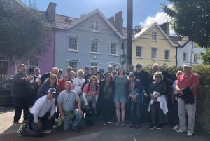 Dublino: tour a piedi della costa di Dun Laoghaire con una guida locale