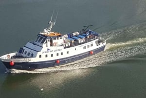 Dublin : croisière en bateau à Dun Laoghaire et Dalkey Island