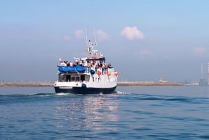 Dublin : croisière en bateau à Dun Laoghaire et Dalkey Island