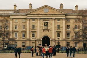 Dublin: 2 Stunden Stadtführung durch das Stadtzentrum (Guided Walking Tour)