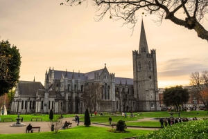 Dublin: 2 timmars guidad stadsvandring i stadskärnan