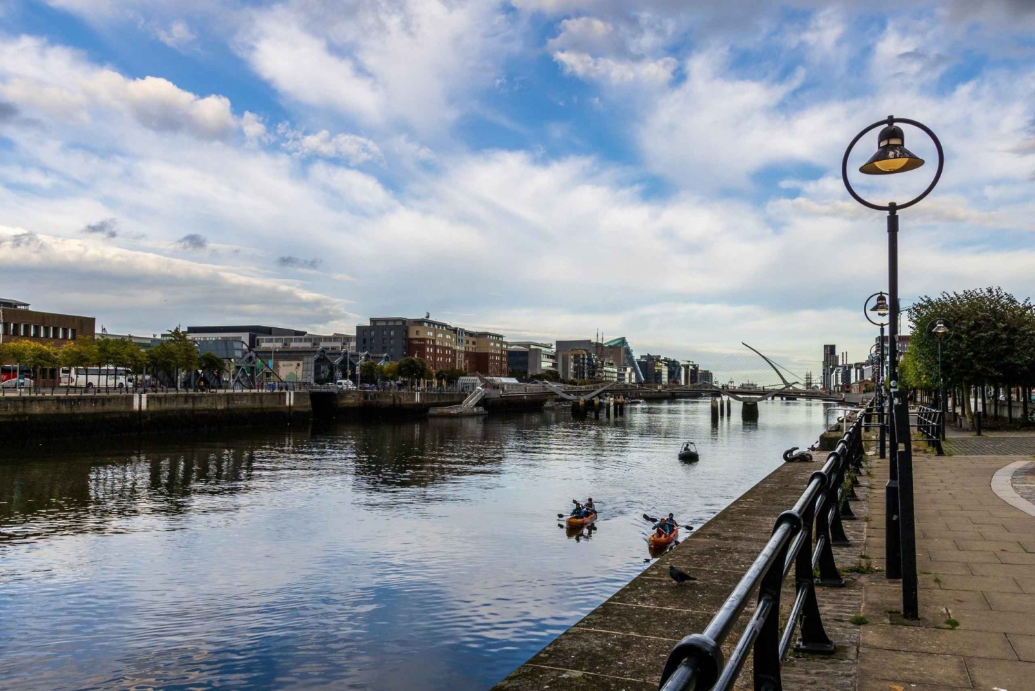 Dublin: Express Walk with a Local in 60 minutes
