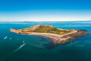 Dublin : Ferry de Howth à l'île de l'Œil de l'Irlande