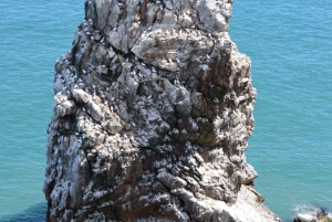 Dublino: Traghetto da Howth all'isola dell'occhio d'Irlanda