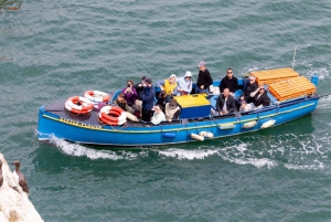 Dublino: Traghetto da Howth all'isola dell'occhio d'Irlanda