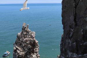 Dublino: Traghetto da Howth all'isola dell'occhio d'Irlanda