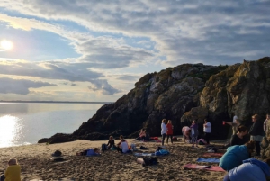 Dublino: Traghetto da Howth all'isola dell'occhio d'Irlanda