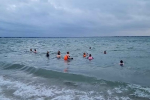 Dublino: Traghetto da Howth all'isola dell'occhio d'Irlanda