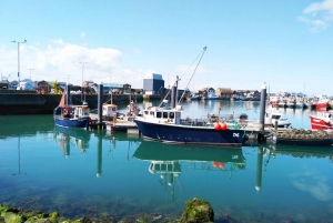 Dublin: Full-Day Howth and Malahide Castle Tour