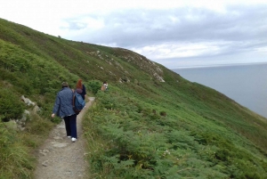Dublin: Full-Day Howth and Malahide Castle Tour