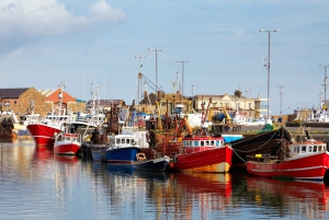Dublin: Full-Day Howth and Malahide Castle Tour