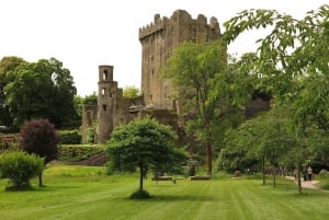 Full-Day Tour to Cork, Cobh and Blarney Castle