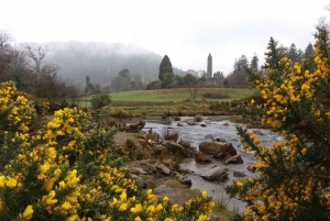 Dublin: Full-Day Wicklow Mountains Tour w/ Glendalough Visit