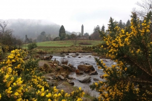 Dublin: Full-Day Wicklow Mountains Tour w/ Glendalough Visit