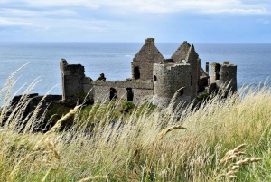 Dublin: Giant's Causeway & Glens of Antrim Day Tour