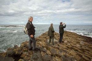 Dublin: Dagtocht Giant's Causeway & Glens of Antrim