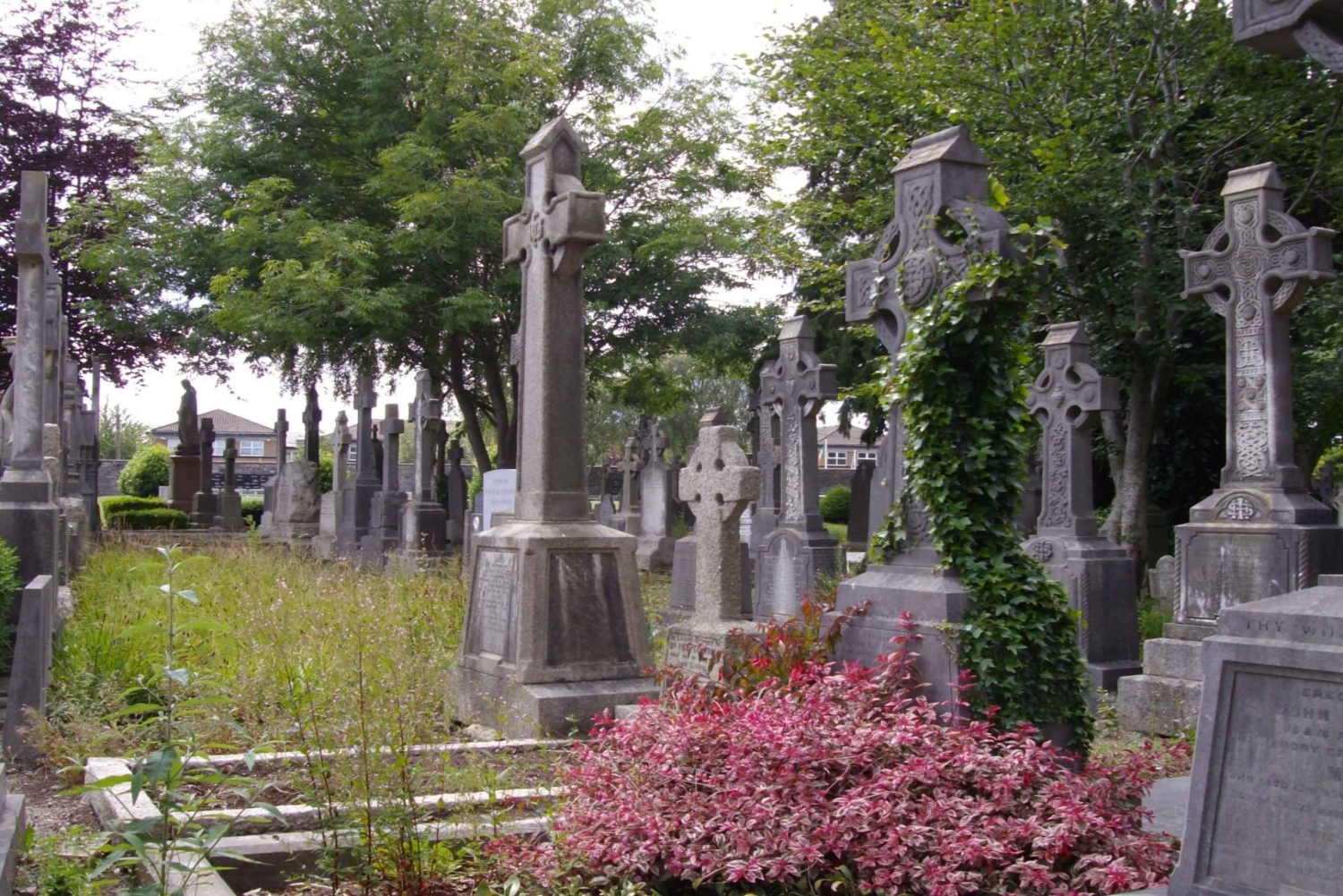 Dublin Glasnevinin kansallinen hautausmaa Audio Tour kuljetuksineen