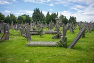 Dublin Glasnevin National Cemetery Audio Tour mit Transfers