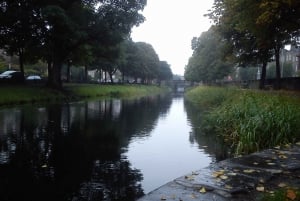 Dublin: Grand Canal-kryssning med middag