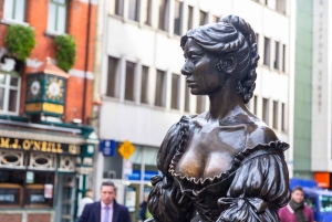 Visite de la Grande Famine de Dublin avec des billets en accès rapide pour le musée EPIC