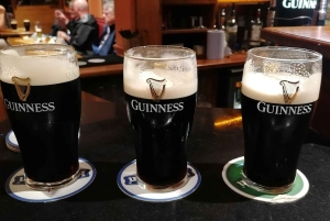 Dublin: Guided Guinness Tasting Tour with Local Guide