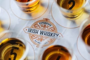 Dublín: Masterclass guiada de café irlandés con cata de whisky