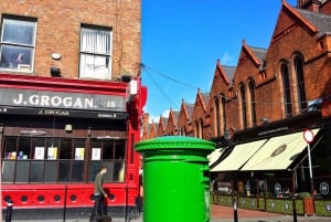 Dublin: Guidad rundtur i Dublin: Sights and Pints