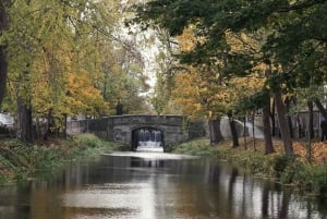 Dublin: Guided Walking Tour of the City Center