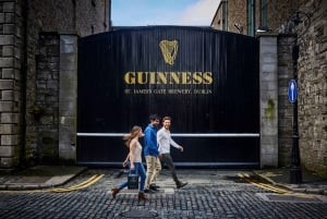 Dublin: Guinness Storehouse Connoisseur Experience