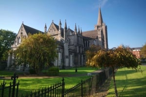 Dublin: Halve dag privé wandeltour