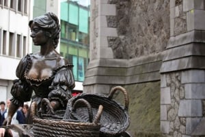 Dublín: Visita privada a pie de medio día