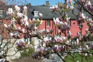 Dublin: Highlights and Hidden Corners Walking Tour